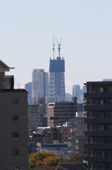 スカイツリー　その１