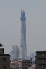 スカイツリー　その３