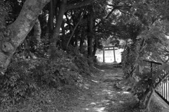 IMG_0421