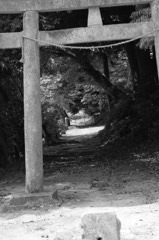 IMG_0410