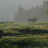 IMG_5545