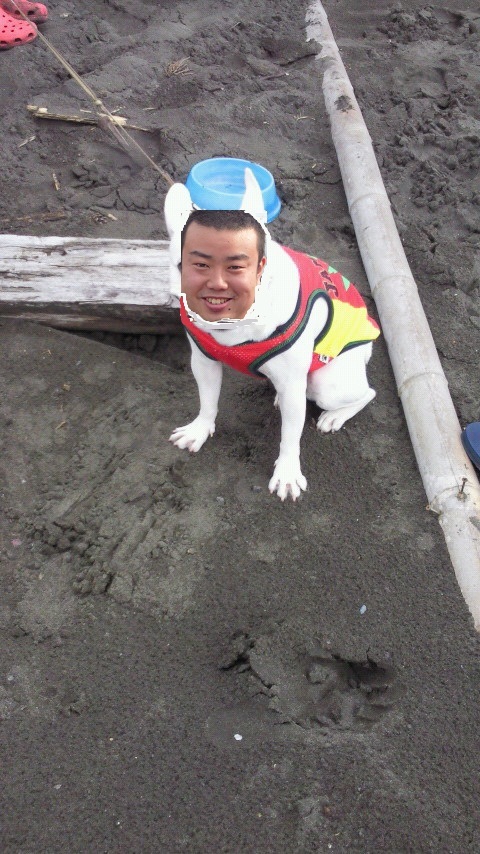 安藤犬