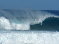 north_wave