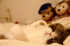 眠そうなねんねちゃん