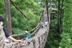 かずら橋3