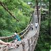 かずら橋3