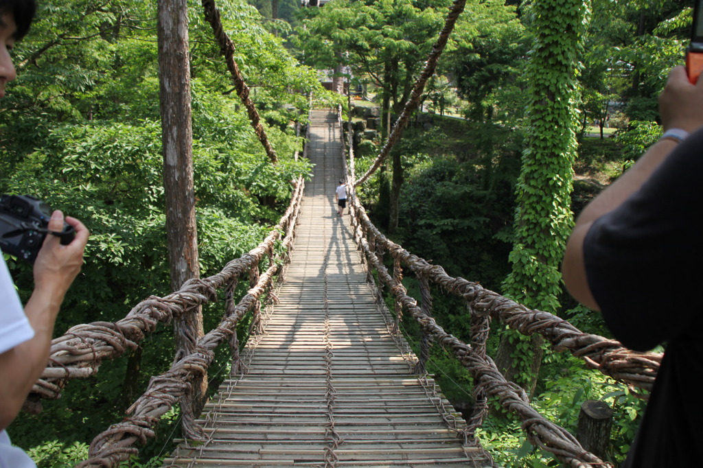 かずら橋1