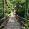 かずら橋1