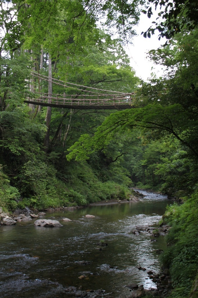 かずら橋2