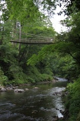 かずら橋2