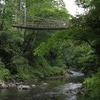 かずら橋2