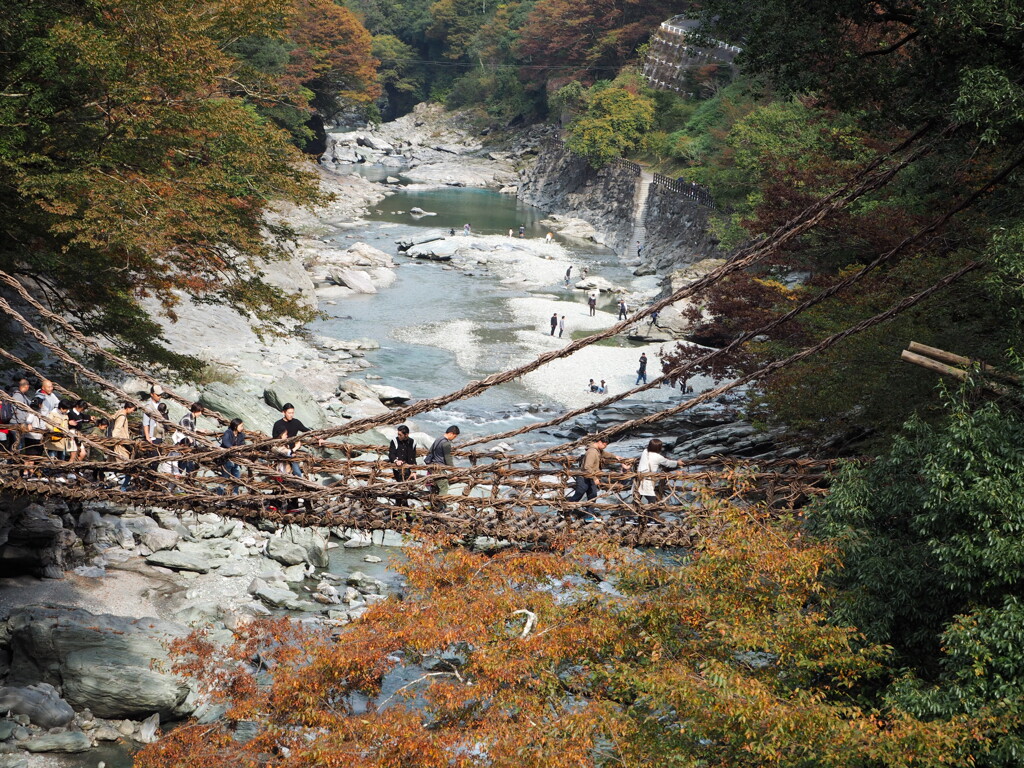 祖谷のかずら橋