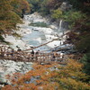 祖谷のかずら橋