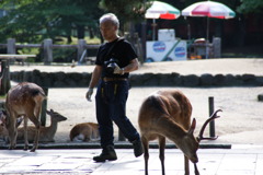 奈良公園