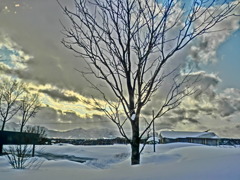 蒜山　深雪