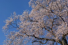 DSC00167