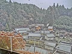 初雪
