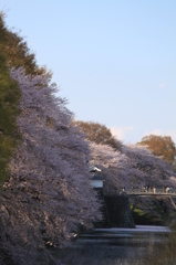 穏やかな春の夕暮れ