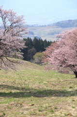 高原の牧場より