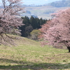 高原の牧場より