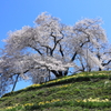 春の空