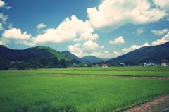 いつか少女が見た原風景