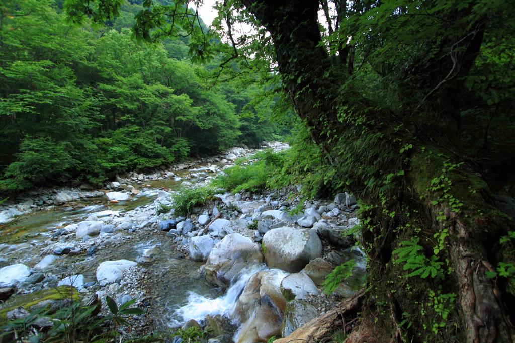山の奥のまた山奥へ