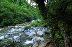 山の奥のまた山奥へ