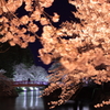 夜桜