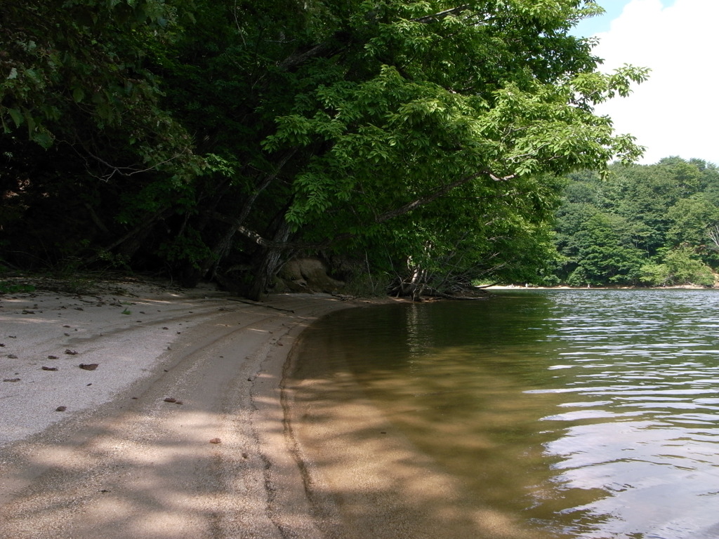 R0010445
