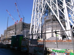 584ｍ根っこ