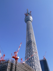 584ｍ