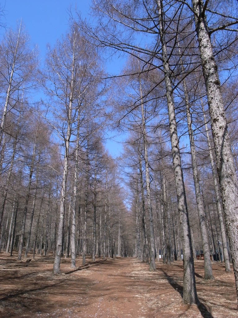 R0012847