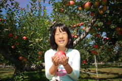 甘いりんごでーす