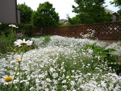 R0013454