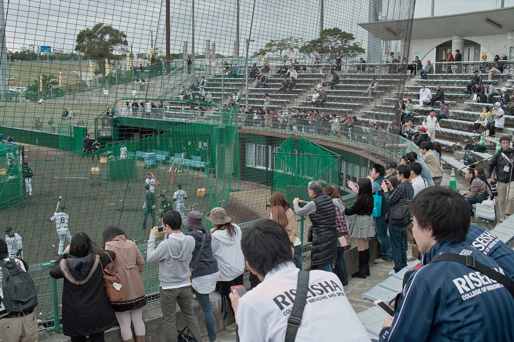 THE　阪神タイガース