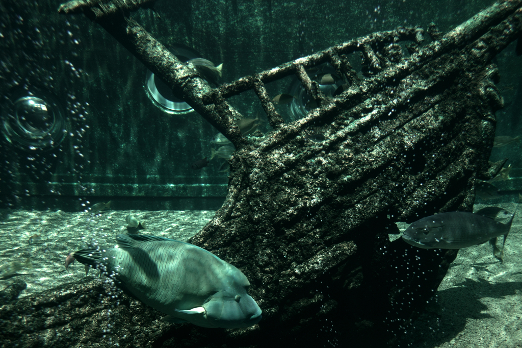 箱根水族館