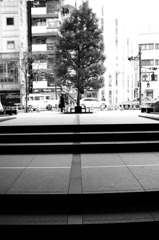 tree