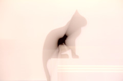 Afterimage