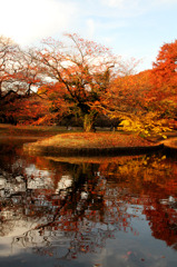 代々木公園