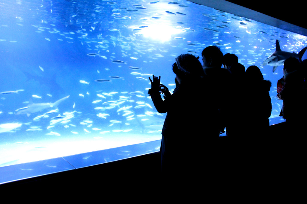 Aquarium