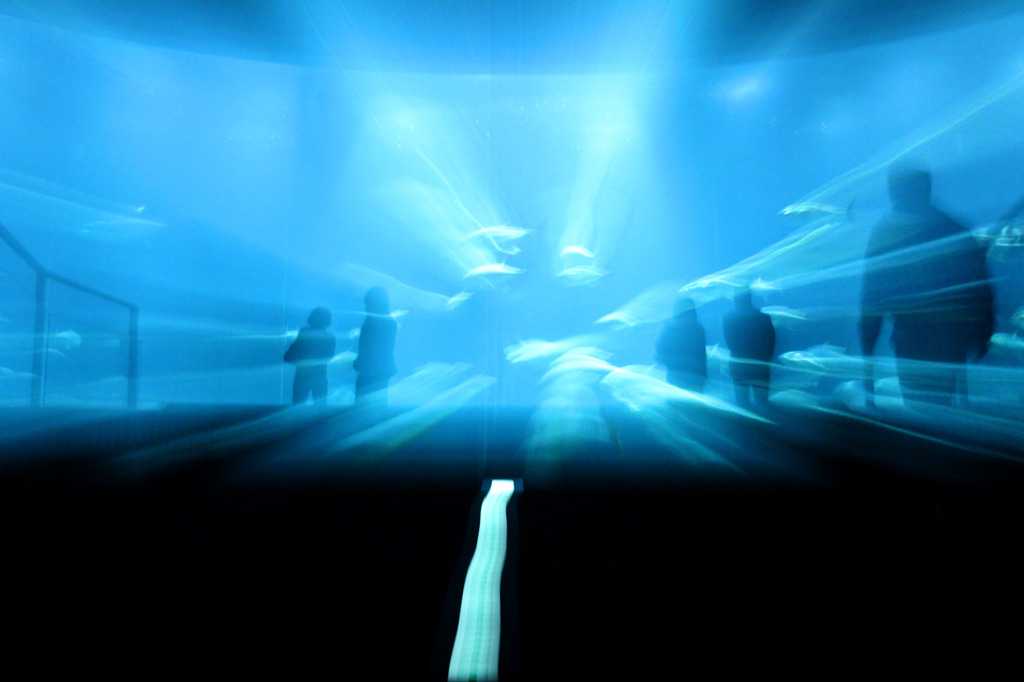 Road of light