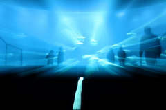 Road of light