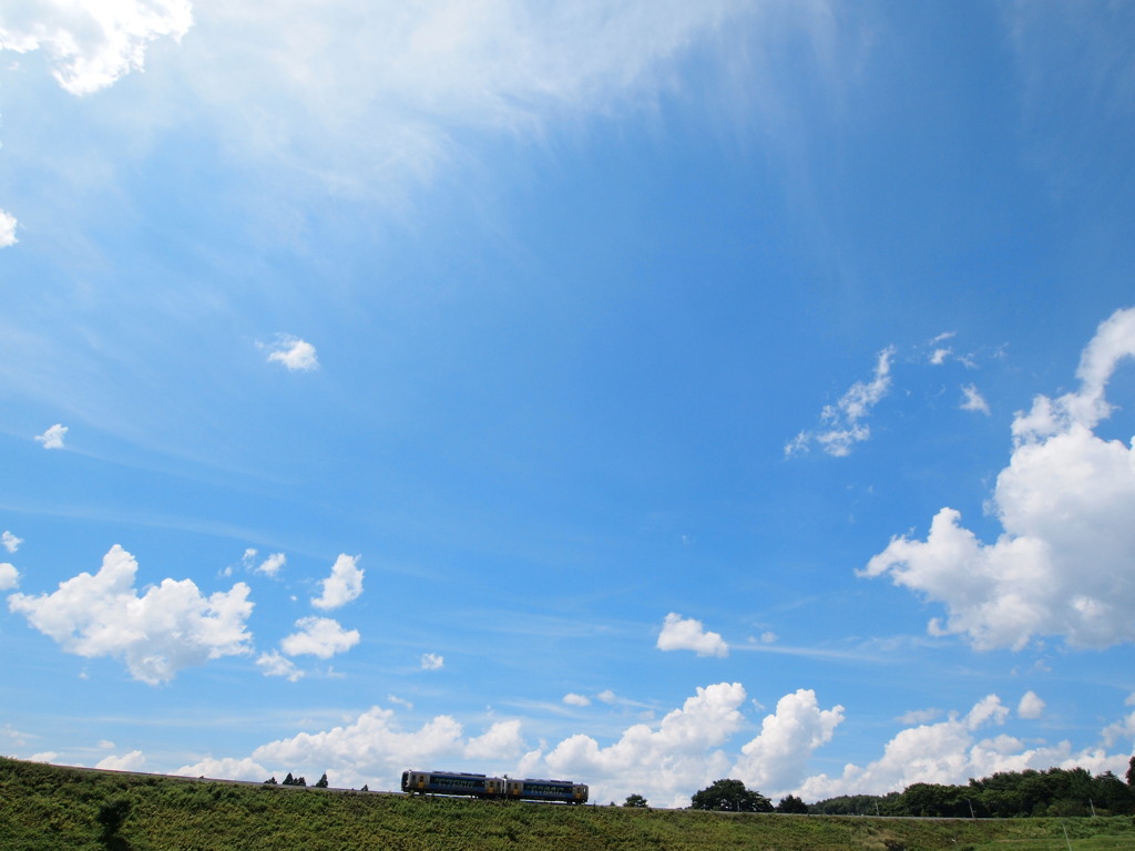 夏・本番