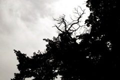 Crack The Sky