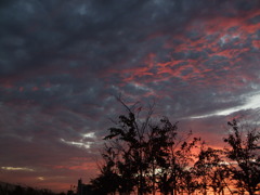夕焼け