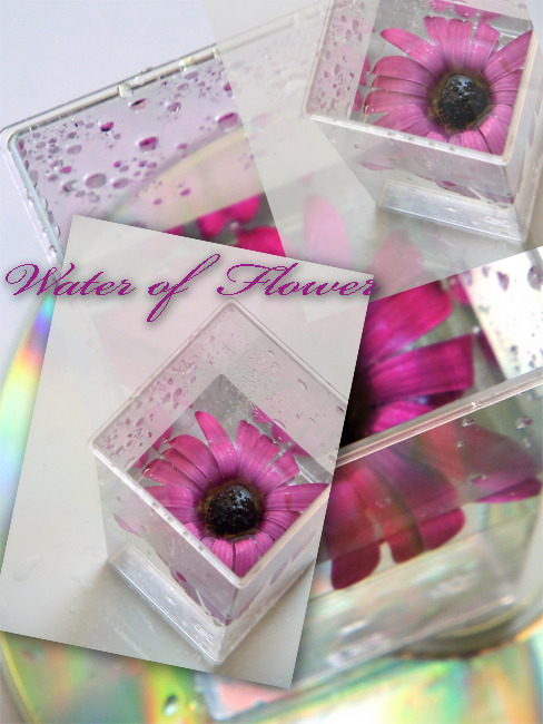 Water of Flower #3