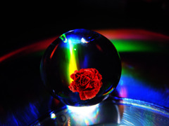 art and flower#6