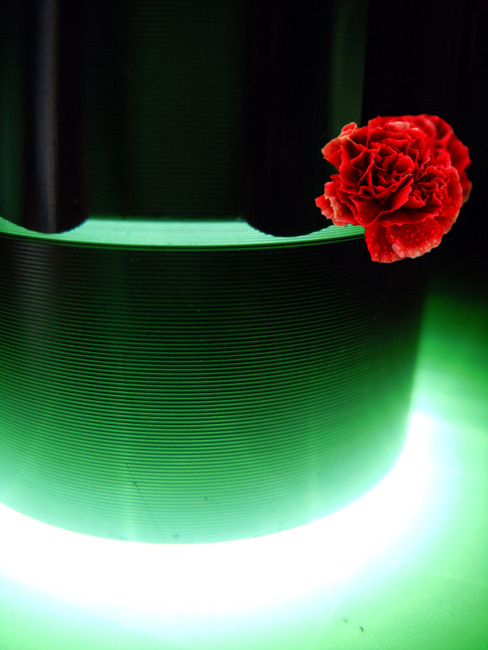 art and flower#5