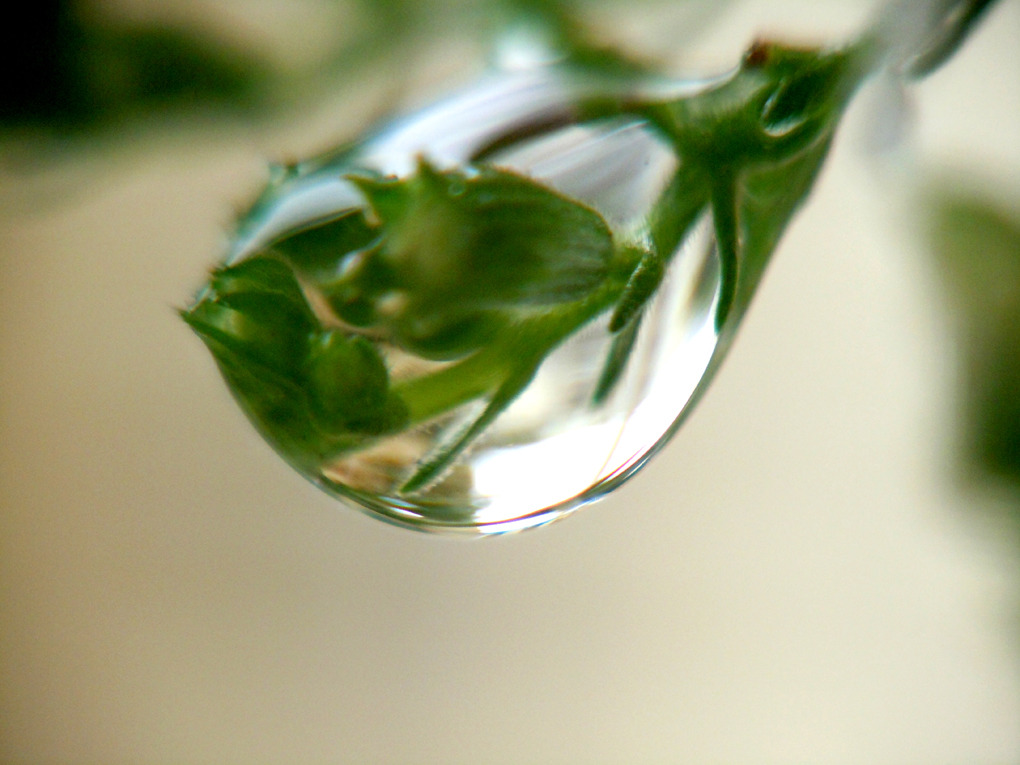 a drop of water No-3